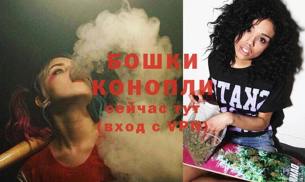мдпв Щигры