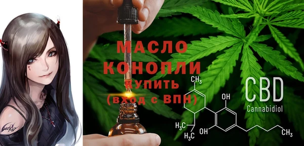 мдпв Щигры