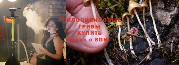 меф Щучье