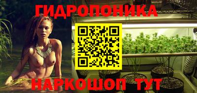 скорость Заволжье