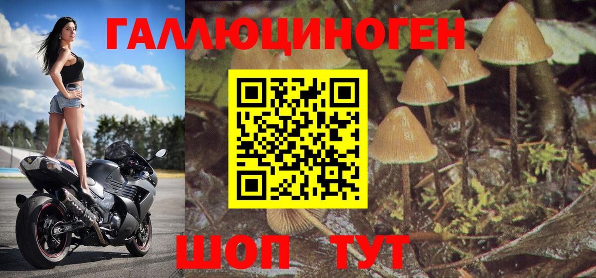 Псилоцибиновые грибы мицелий  Вход с VPN  Каменск-Уральский 