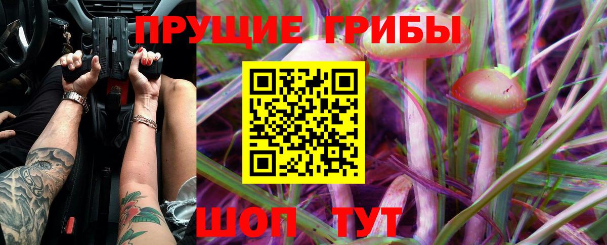 Псилоцибиновые грибы Psilocybine cubensis Каменск-Уральский
