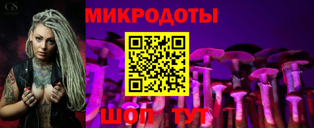 где купить наркоту  Галлюциногенные грибы MAGIC MUSHROOMS  Каменск-Уральский  Псилоцибиновые грибы ЛСД 